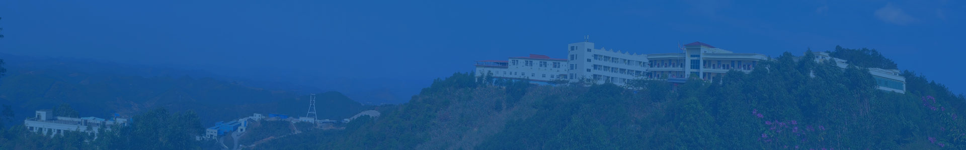 应用场景